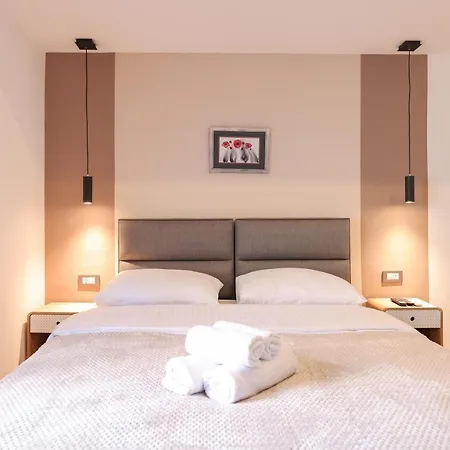 Sanchi-bossa زادار